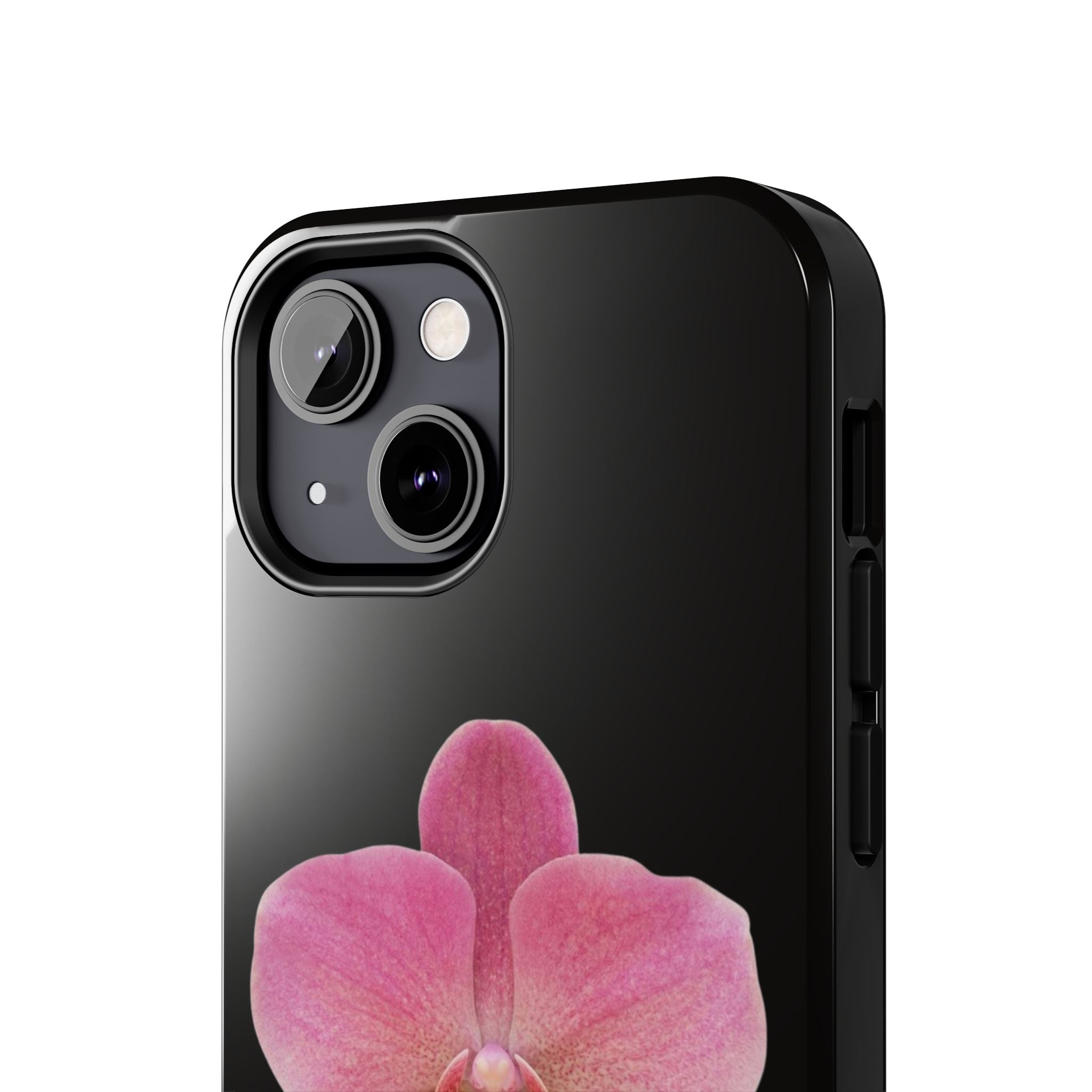 ORCHID