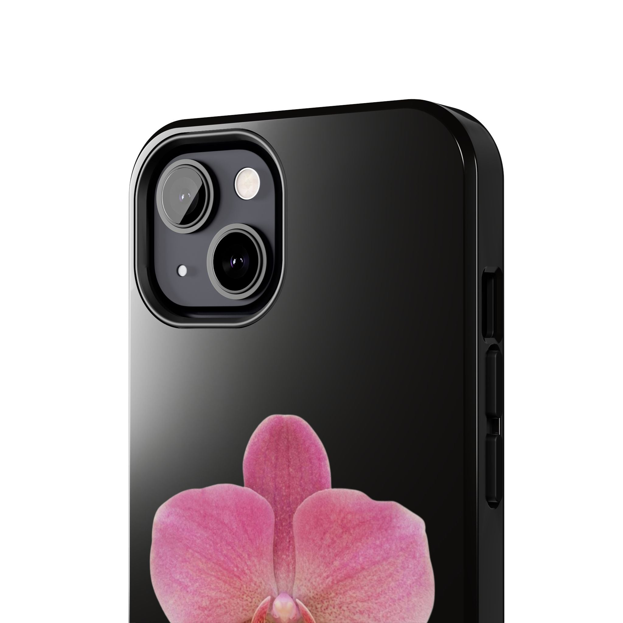 ORCHID