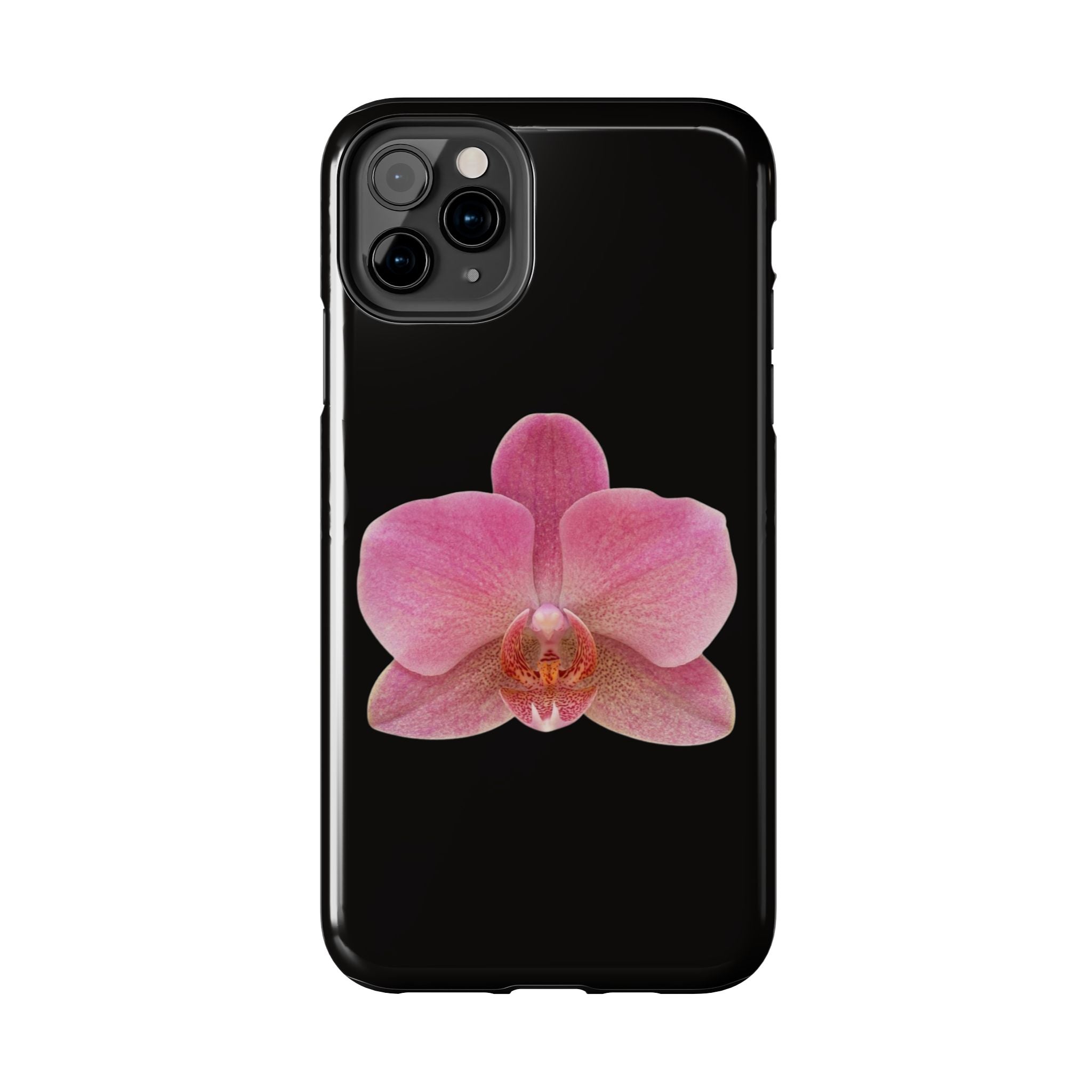 ORCHID
