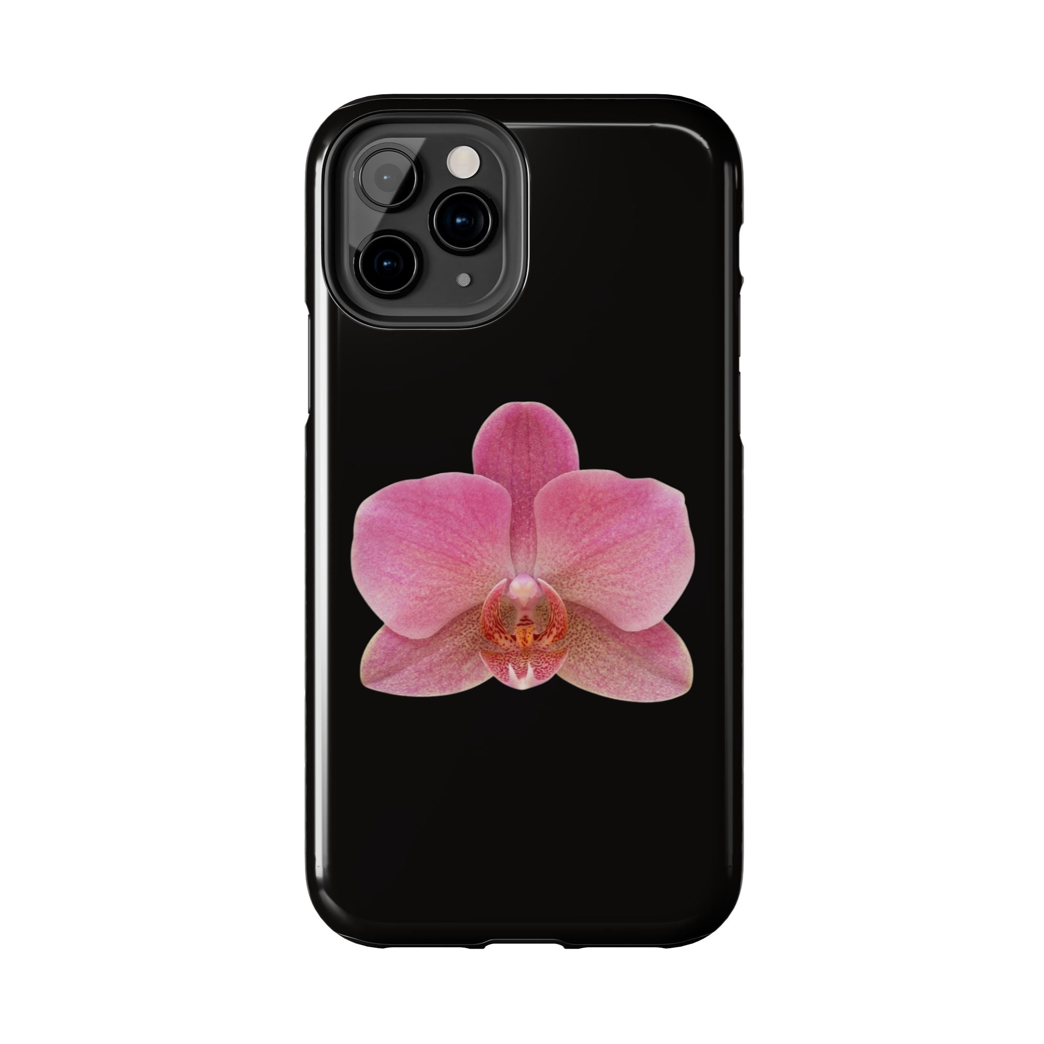 ORCHID